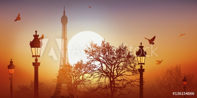 Picture of Tour Eiffel - Champ de Mars - Coucher de soleil - Pigeon